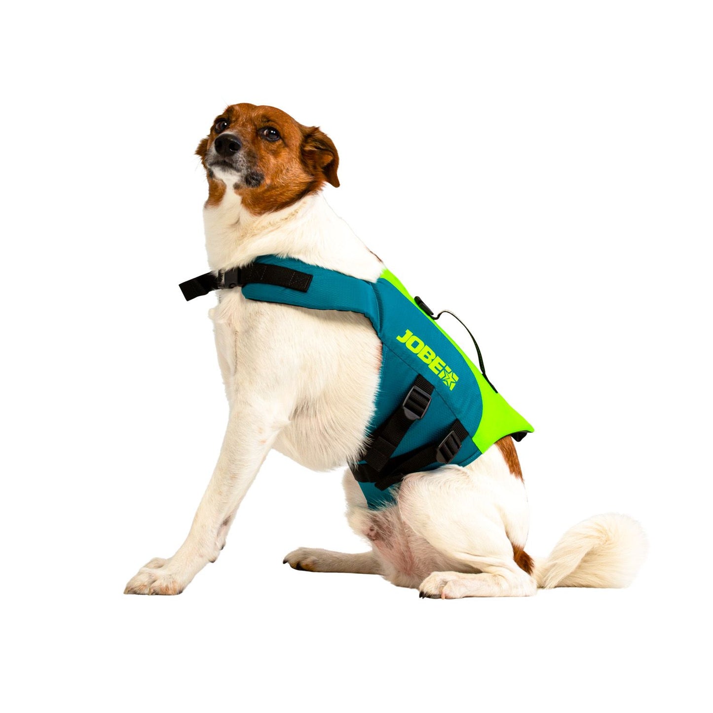 JOBE PET VEST LIME TEAL